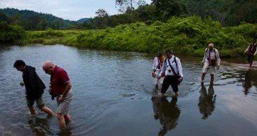 Gruppe von Menschen watet durch einen flachen Fluss in einer grünen Landschaft.