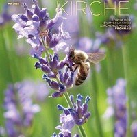 Biene auf violettfarbener Blüte - unser Titelbild