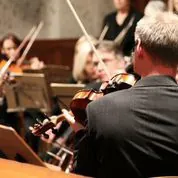 Rückenansicht eines Mannes, der Geige in einem Orchester spielt.